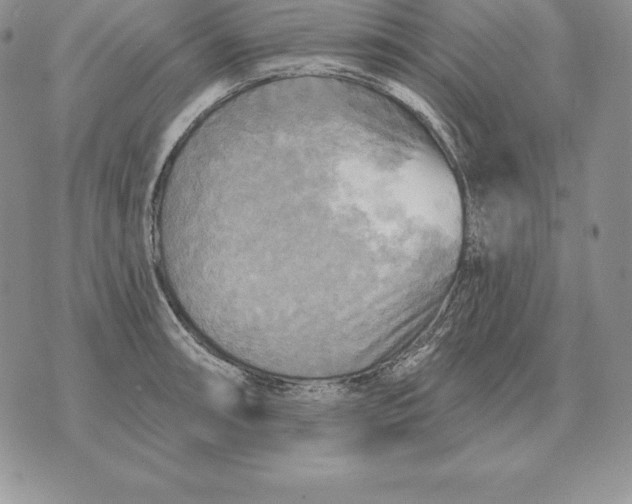 X0000070361090200606301825