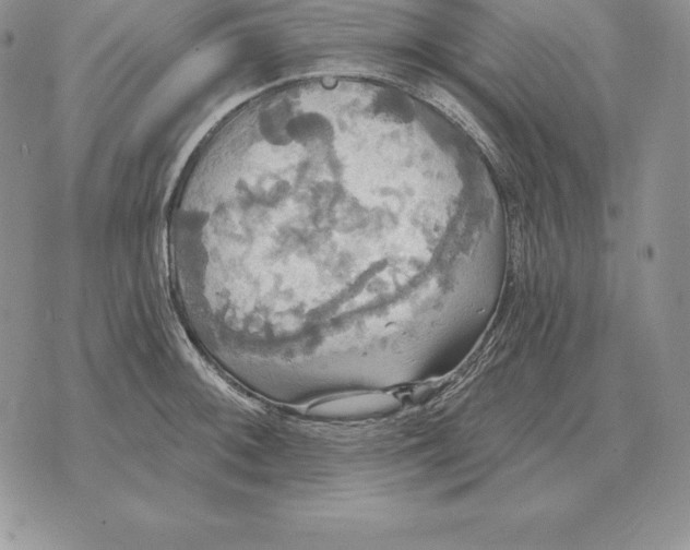 X0000070361092200606301825