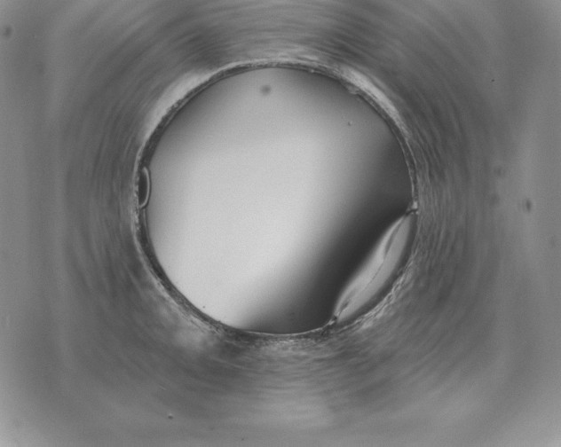 X0000070361093200606301824