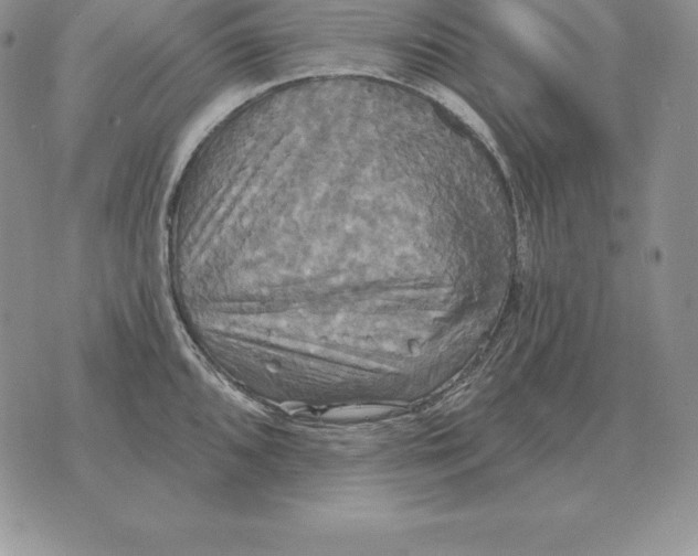 X0000070361096200606301824