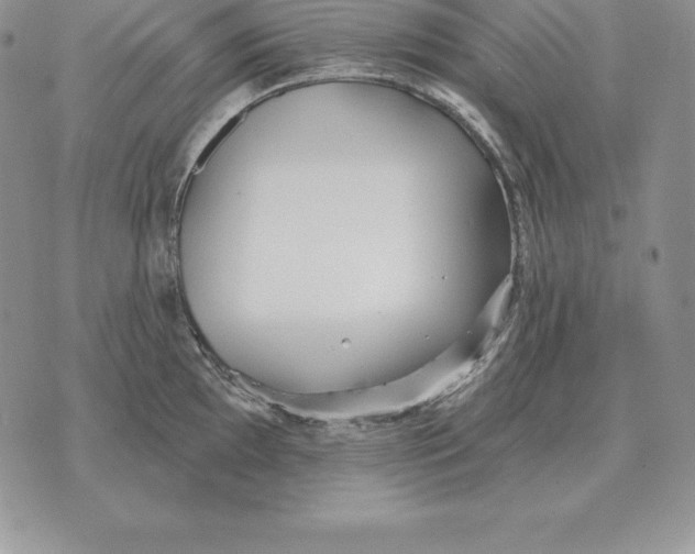 X0000070361097200606301824