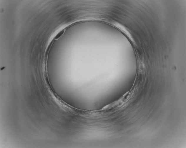 X0000070361101200606301824