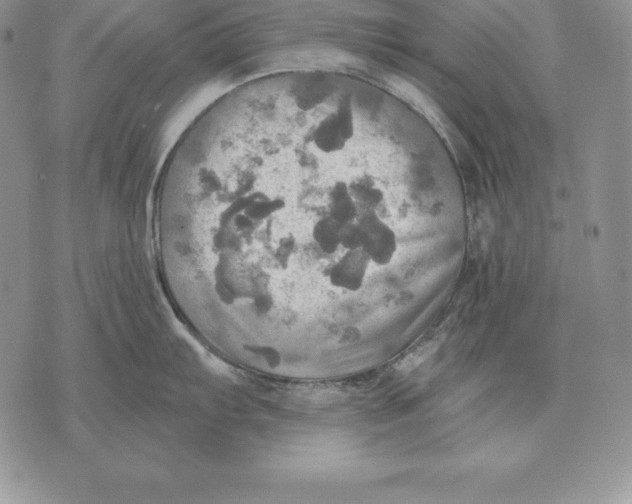 X0000070361103200606301824