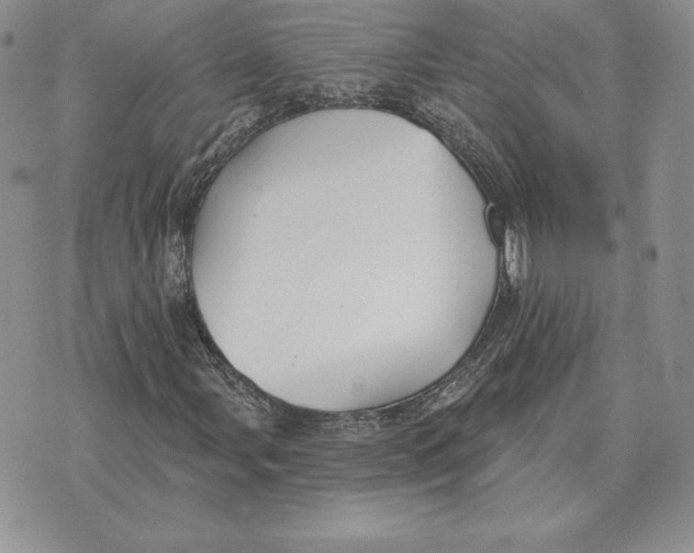 X0000070361107200606301824