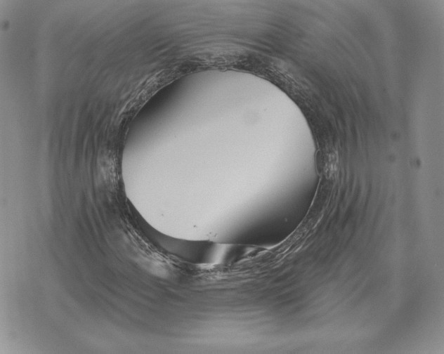 X0000070361108200606301824