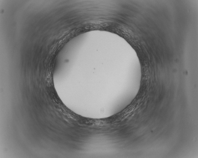 X0000070361109200606301824