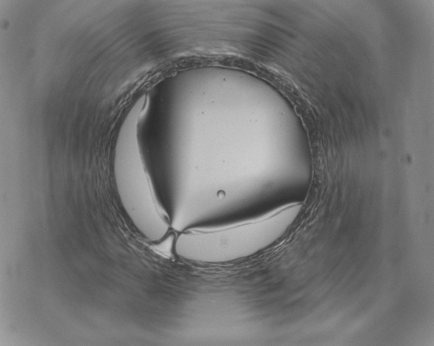 X0000070361110200606301824