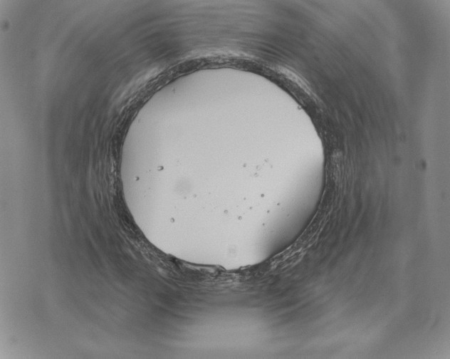 X0000070361111200606301824