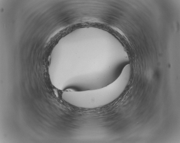 X0000070361112200606301824