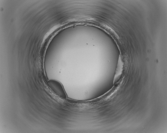 X0000070361114200606301824