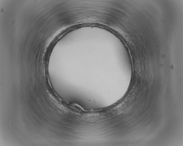 X0000070361118200606301824