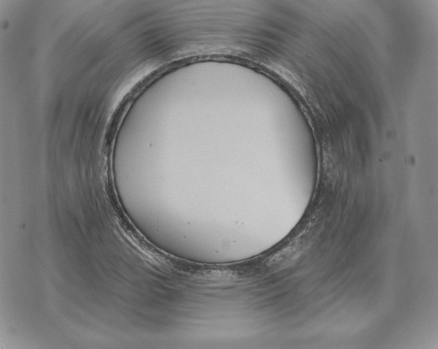 X0000070361119200606301824