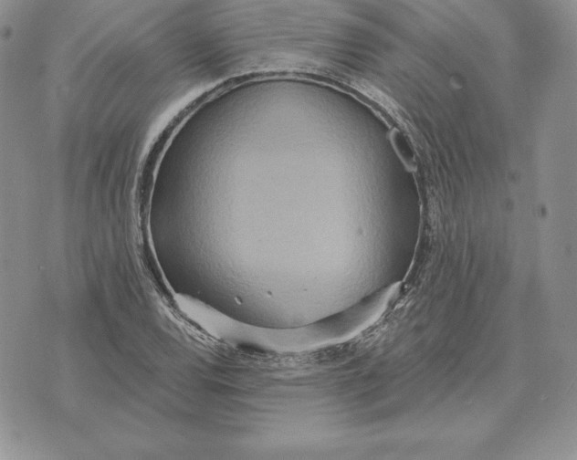 X0000070361120200606301824