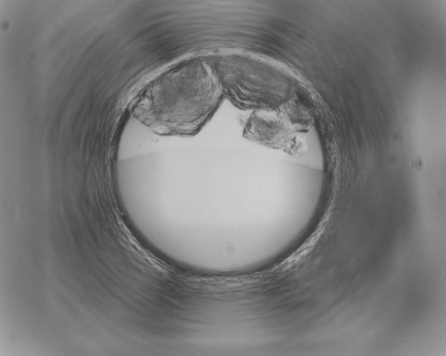 X0000070361121200606301824