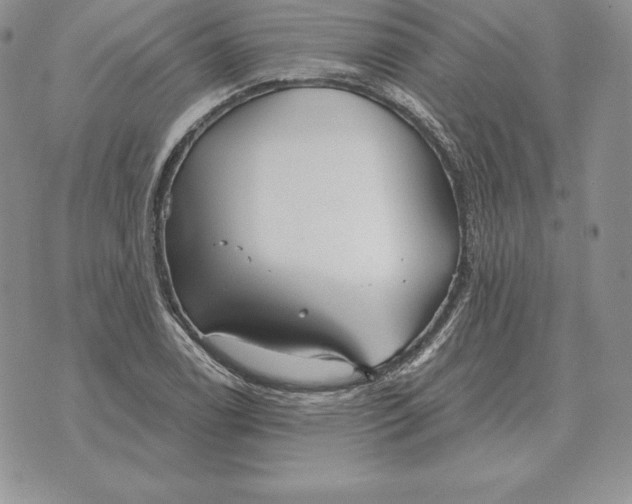 X0000070361122200606301824