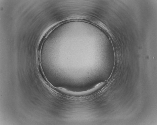 X0000070361124200606301824