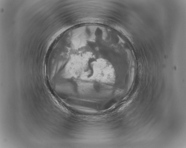 X0000070361125200606301824