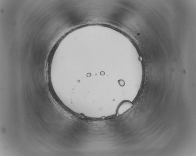 X0000070361126200606301824