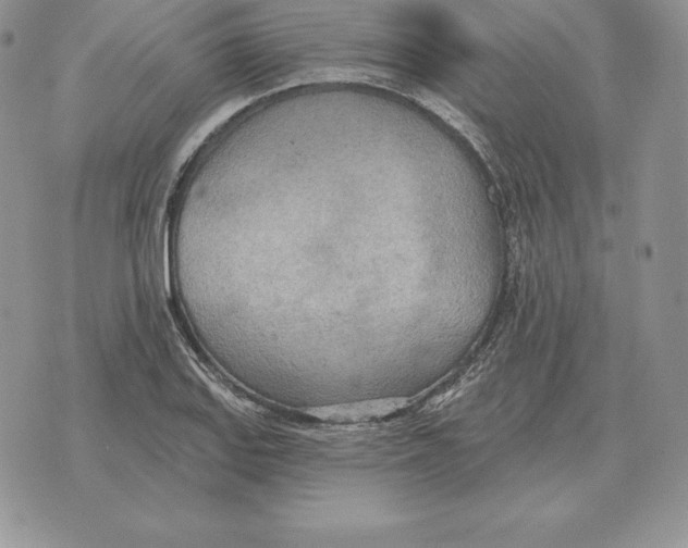 X0000070361127200606301824