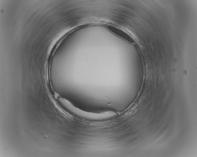 X0000070361128200606301824