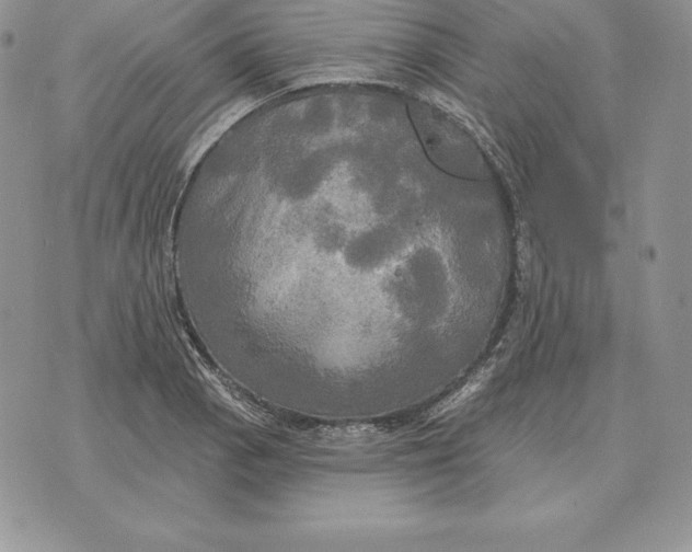 X0000070361129200606301824