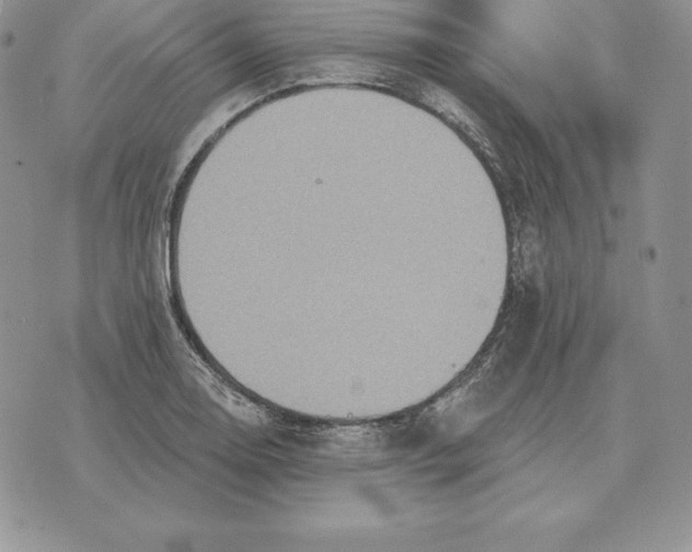 X0000070361130200606301824