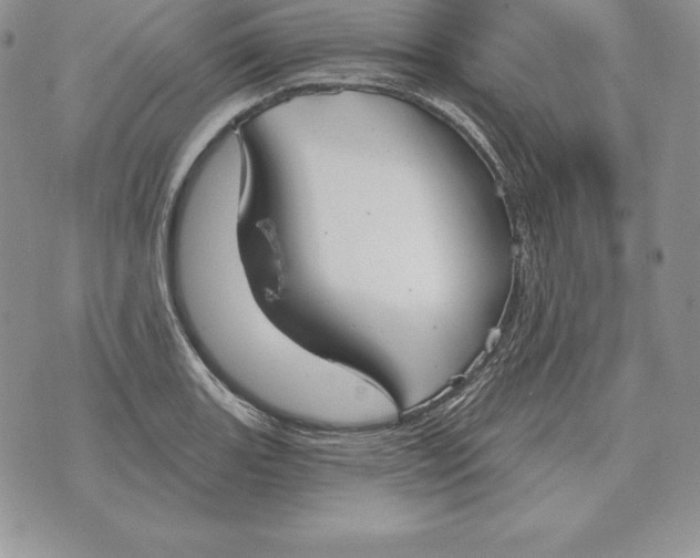 X0000070361131200606301824