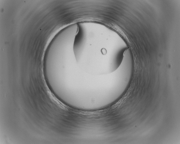 X0000070361132200606301824