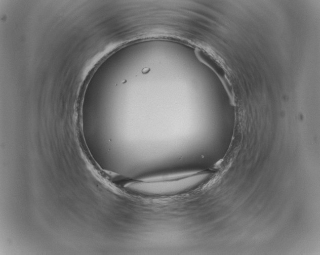 X0000070361134200606301824