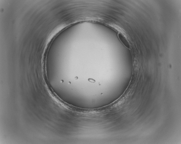 X0000070361135200606301824