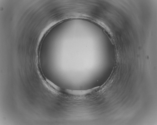 X0000070361136200606301824