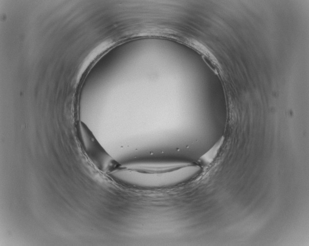 X0000070361138200606301824