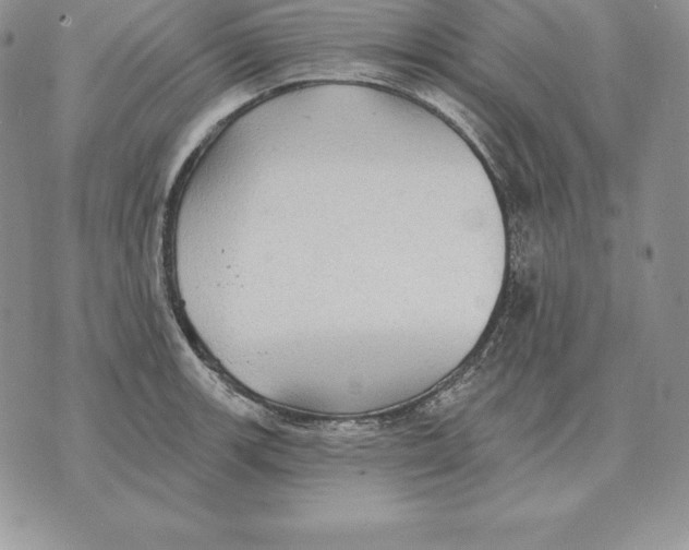 X0000070361139200606301824