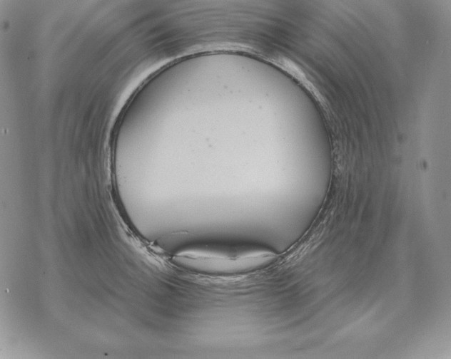 X0000070361140200606301824