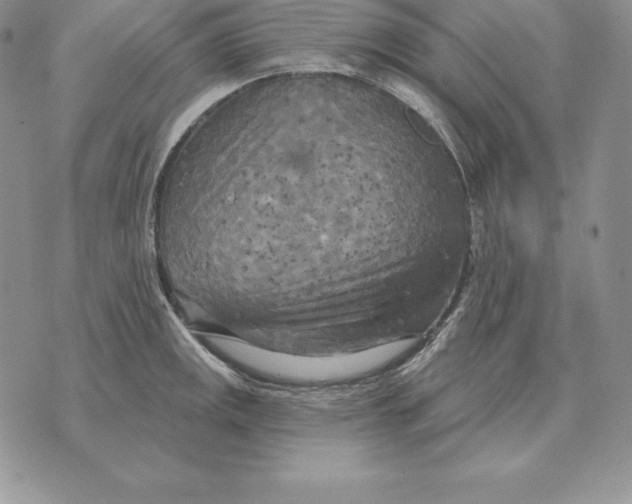 X0000070361141200606301824