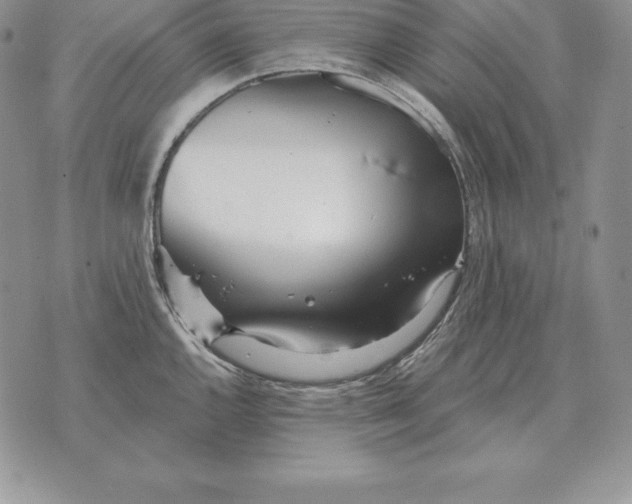 X0000070361144200606301824