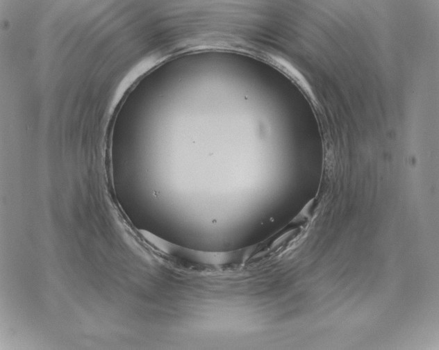 X0000070361146200606301824