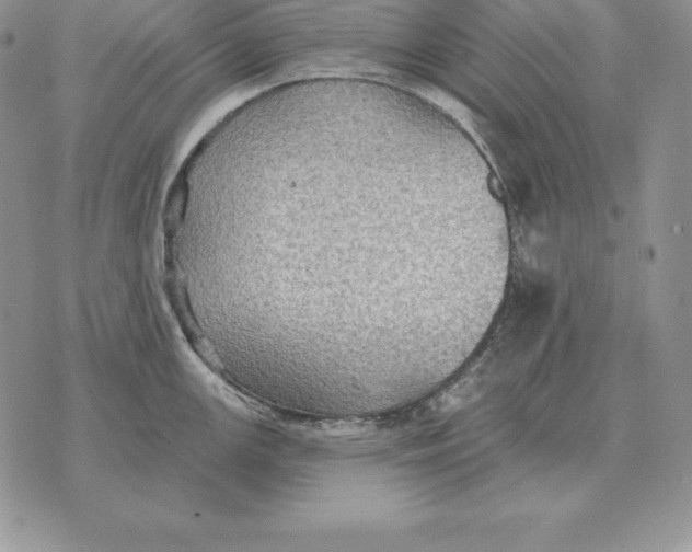 X0000070361147200606301824