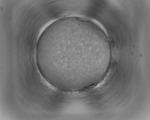 X0000070361149200606301824