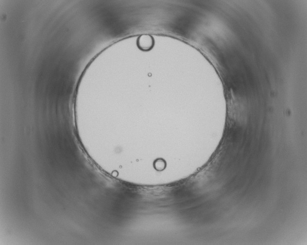 X0000070361150200606301824