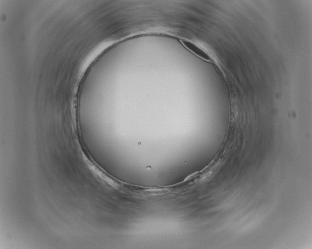 X0000070361151200606301824