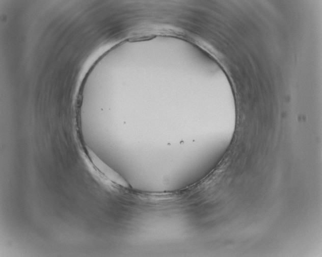 X0000070361152200606301824