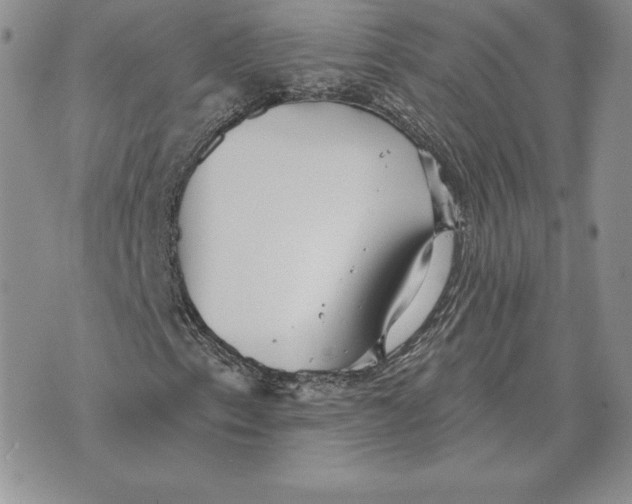 X0000070361153200606301824