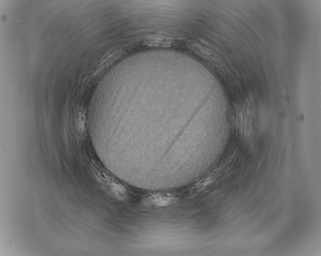 X0000070361154200606301823