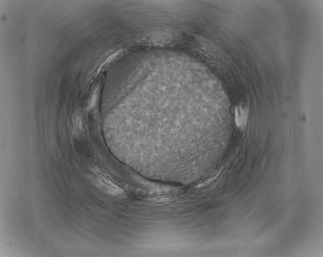 X0000070361155200606301823