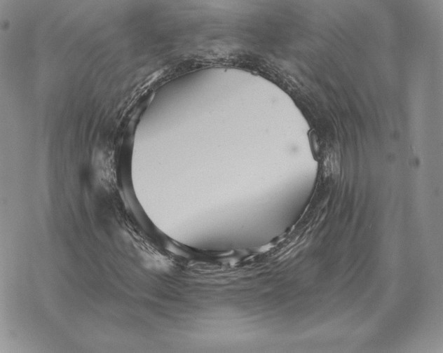 X0000070361156200606301823