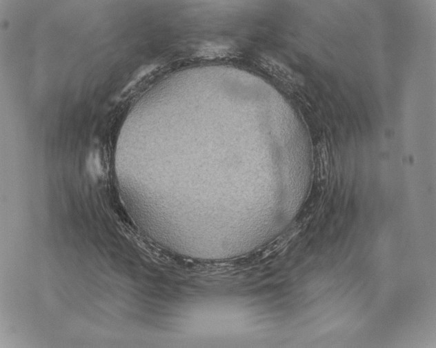 X0000070361158200606301823