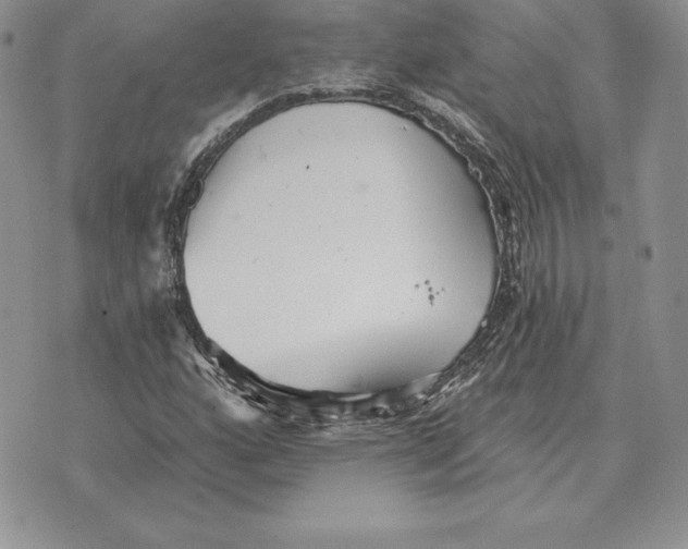 X0000070361160200606301823