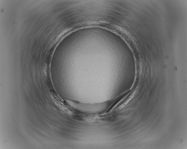 X0000070361161200606301823