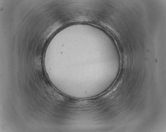 X0000070361162200606301823